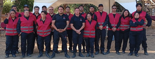 Guardia de seguridad (Coorporativo)